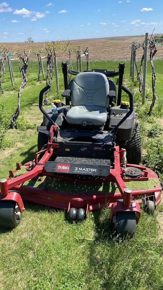Toro mower parked in a mowed vineyard alley