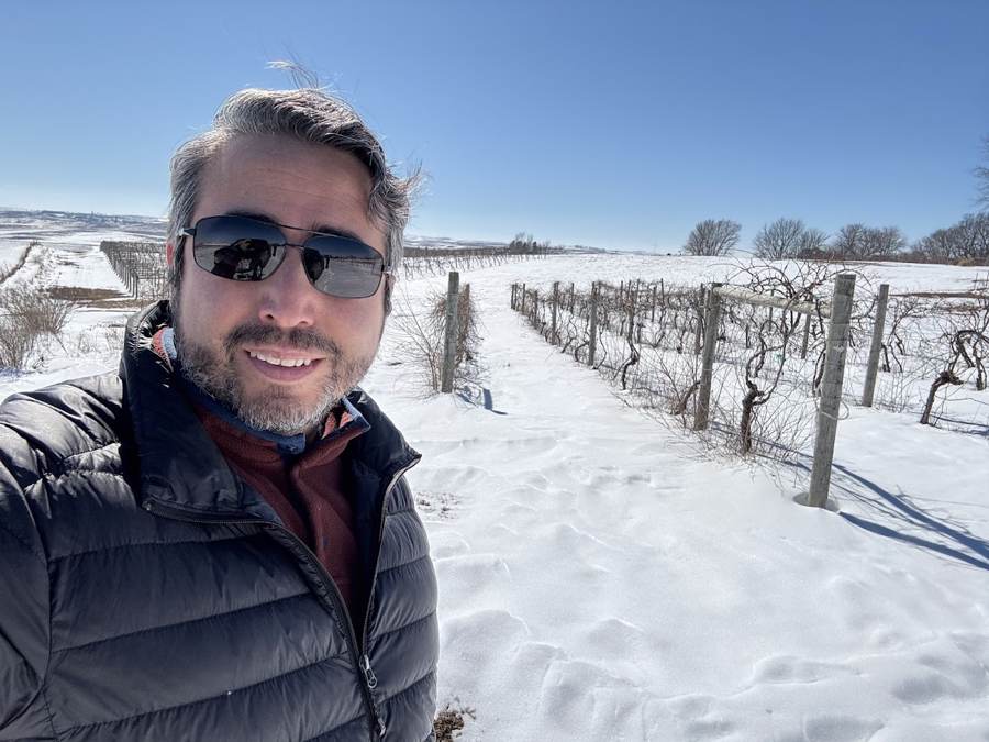 Cris pruning in snow-covered vineyard rows