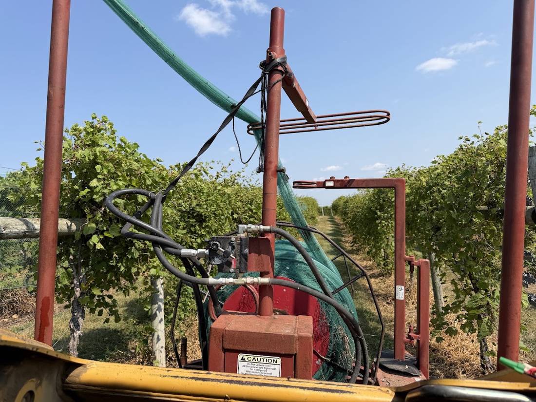 Netter-getter laying nets over Frontenac rows