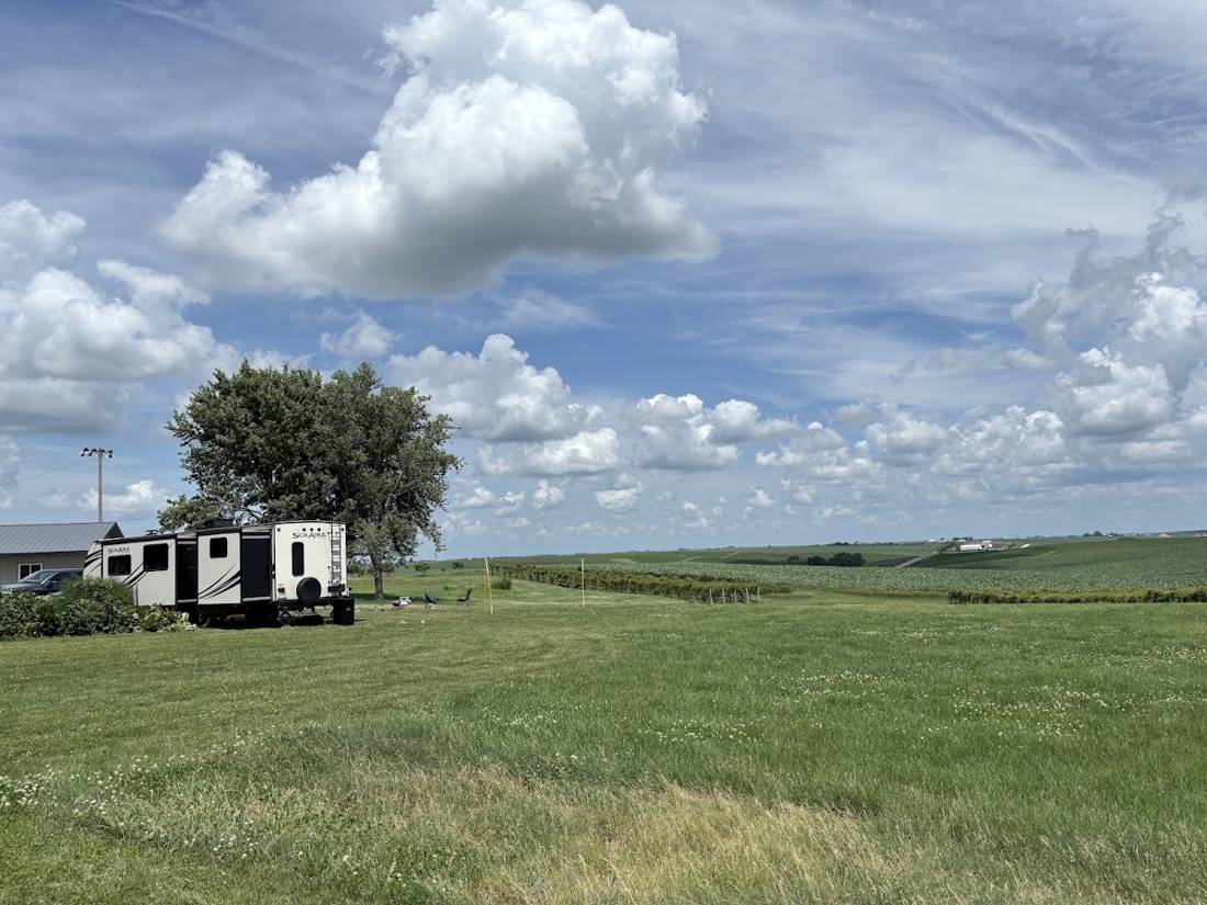 Level campsite with vineyard rows and open Iowa sky