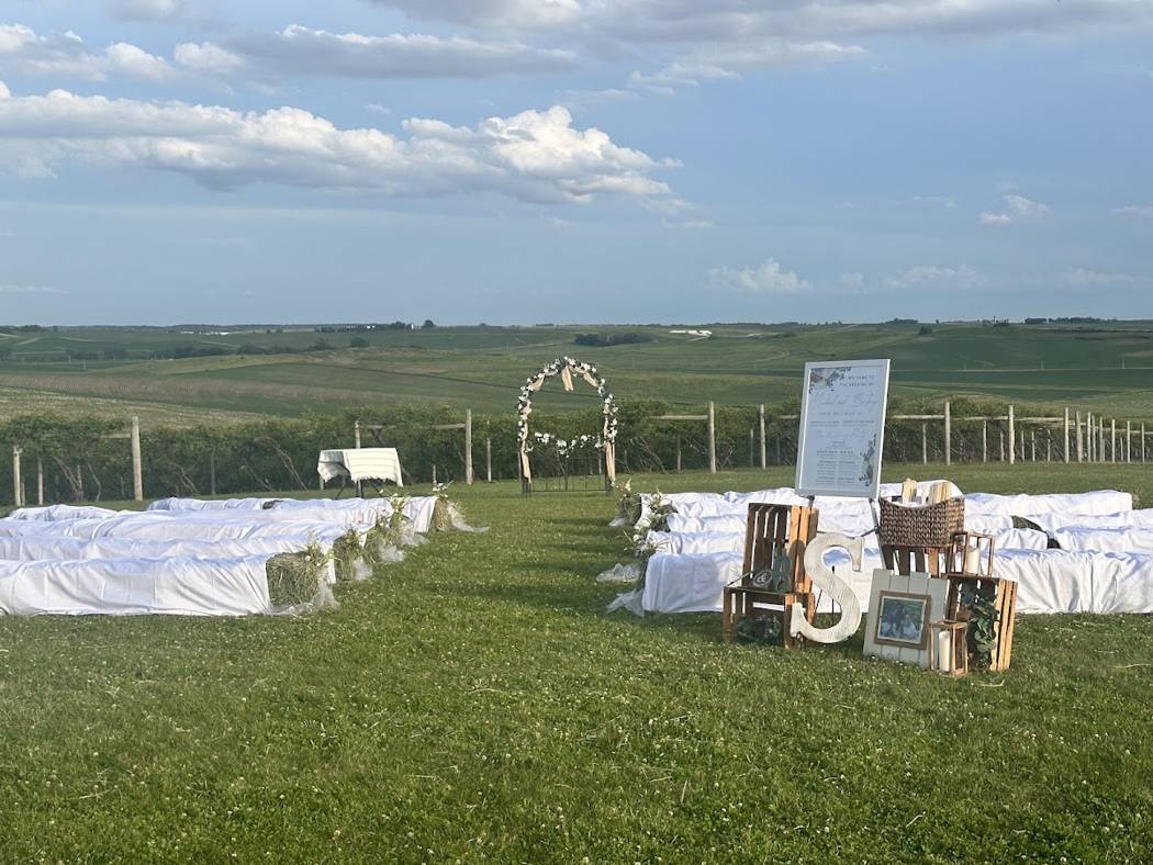 Wedding ceremony arch set against the vineyard with hills beyond